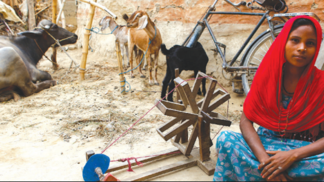 Brief on the social cost of migration